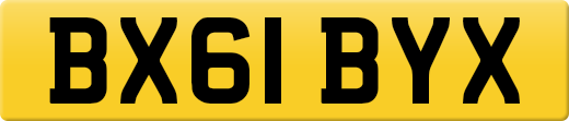 BX61BYX